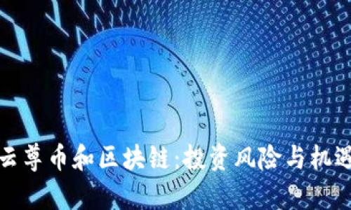 投资云尊币和区块链:投资风险与机遇分析