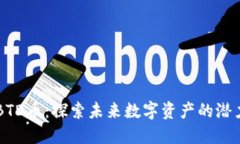 区块链BTD币：探索未来数字资产的潜力与应用