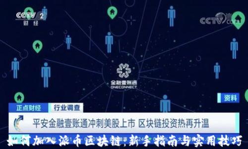 
如何加入派币区块链：新手指南与实用技巧