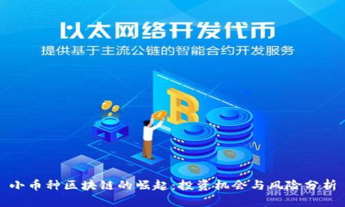 小币种区块链的崛起:投资机会与风险分析