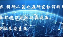 /区块链数字币挖矿：未来金融生态系统的塑造者