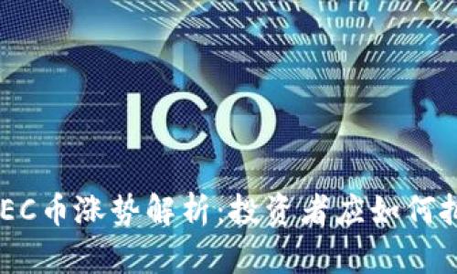 区块链ZEC币涨势解析:投资者应如何把握机会?