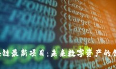 STORT区块链最新项目：未来数字资产的创新与机遇