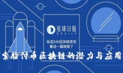 : 探索脸付币区块链的潜力与应用前景