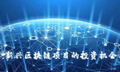 PTC极宝币：新兴区块链项目的投资机会与风险分