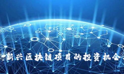 PTC极宝币:新兴区块链项目的投资机会与风险分析