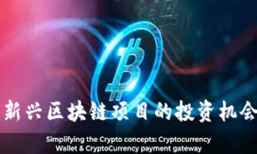 PTC极宝币:新兴区块链项目的投资机会与风险分析