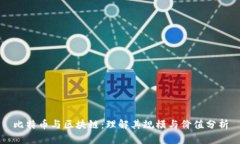 比特币与区块链：理解其规模与价值分析
