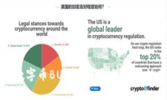 区块链数字币BUK：未来金融交易的新方式