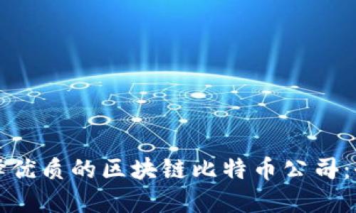 如何选择优质的区块链比特币公司：全面指南