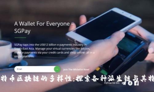 比特币区块链的多样性:探索各种派生链与其特点