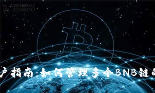 TPWallet用户指南：如何管理多个BNB链的资产与交易
