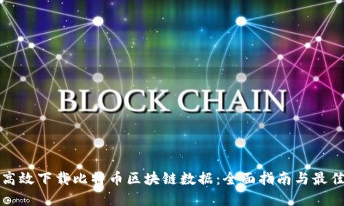 如何高效下载比特币区块链数据：全面指南与最佳实践