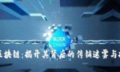 菠萝币区块链：揭开其背后的传销迷雾与投资价