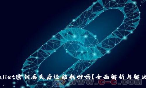 TPWallet密钥丢失后还能找回吗？全面解析与解决方案